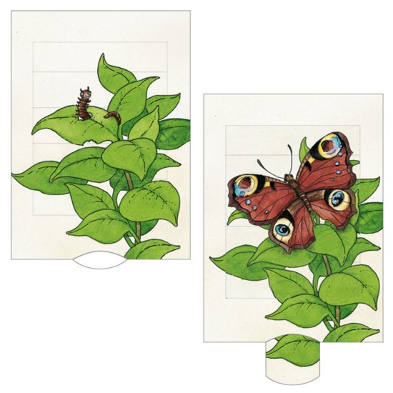Διαδραστική Κάρτα Πεταλούδα