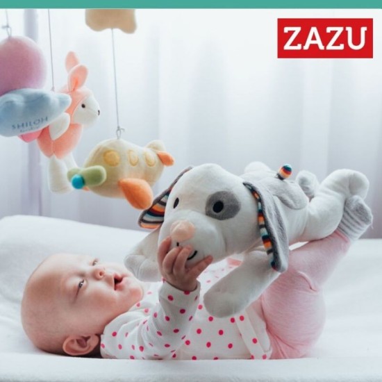 Zazu baby sleep Dex Σκυλάκι βοήθημα ύπνου με εγγραφή φωνής, αναπαραγωγή Λευκών Ήχων και Φως